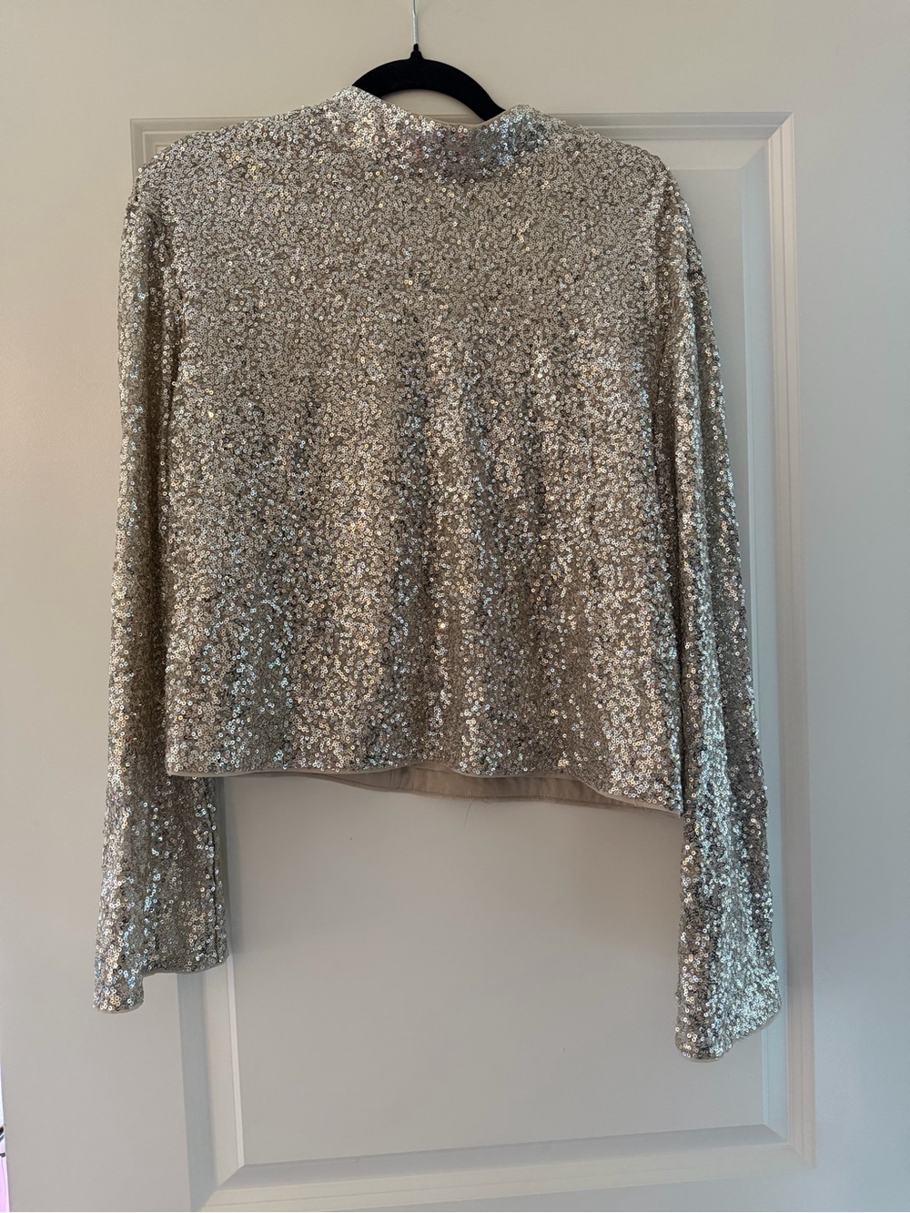 Sequin Long Sleeve Crop Top - Champagne